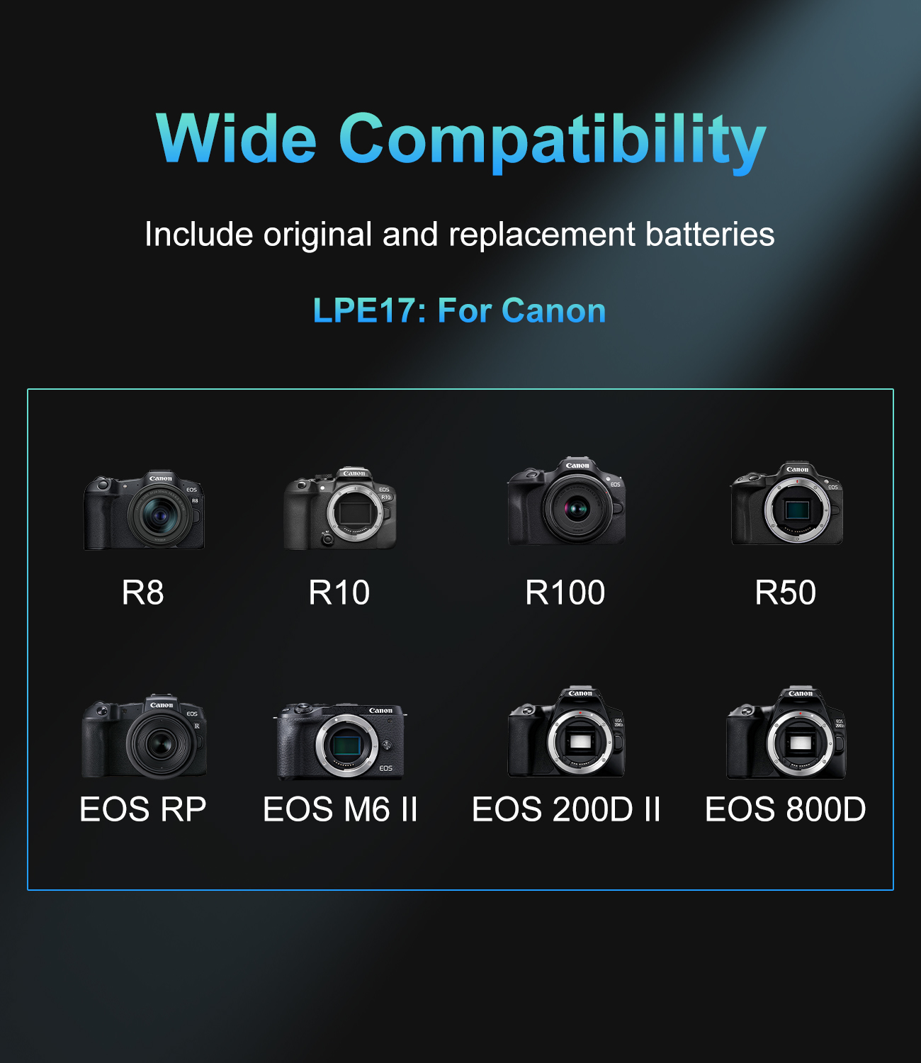 شاحن USB-C PD بفتحة مزدوجة 20  - مراجعة Canon Camera Eos R8 وسعره